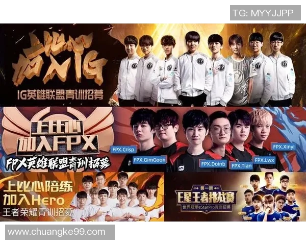 王者荣耀巨献：深入解析FPX团队的技术创新与战术策略